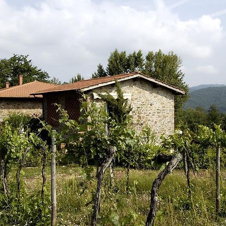 Agriturismo Castello Di Querceto Lucolena in Chianti Exterior photo