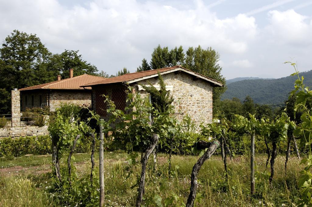 Agriturismo Castello Di Querceto Lucolena in Chianti Exterior photo